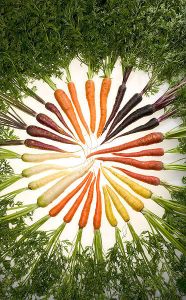 Carrots-of-Many-colours-Wikimedia-Commons-Anna-Jackowiak-Why-should-I-eat-more-fibre-Reduce-Risk-of-heart-disease